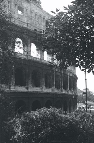 Il Colosseo visto dal Colle Oppio