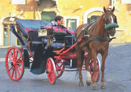 Carrozze per turisti in P.zza di Spagna