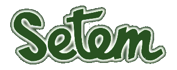 Logo Setem